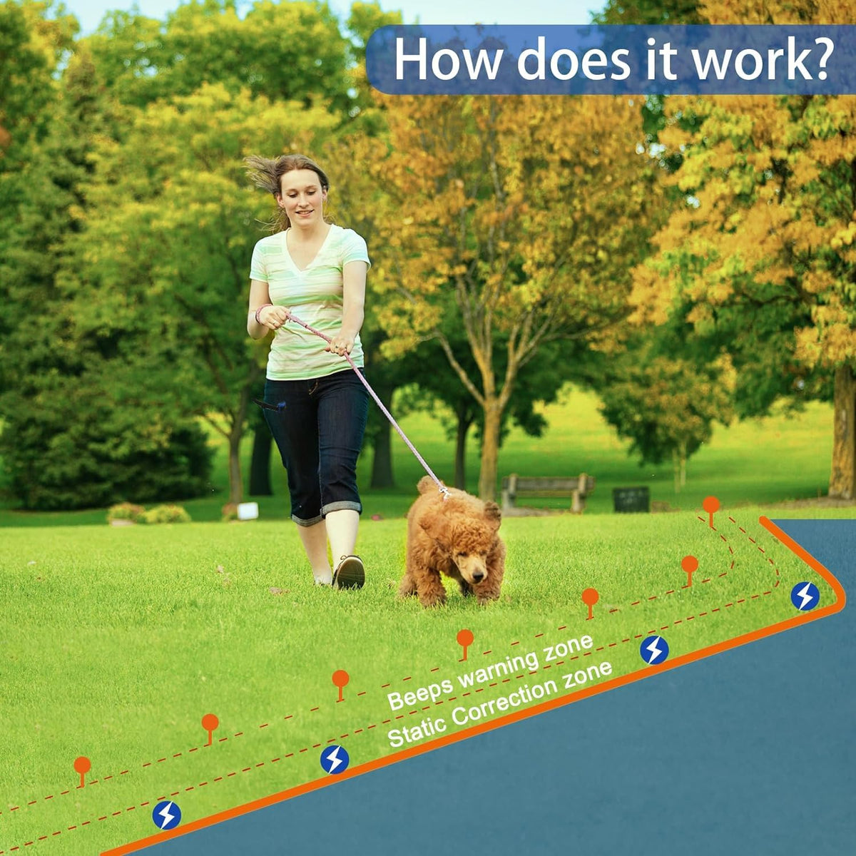 In-Ground Electric Dog Fence System with 2 Collars X2045