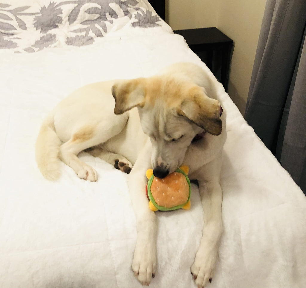 Hamburger Dog Toy with Squeaker L133399