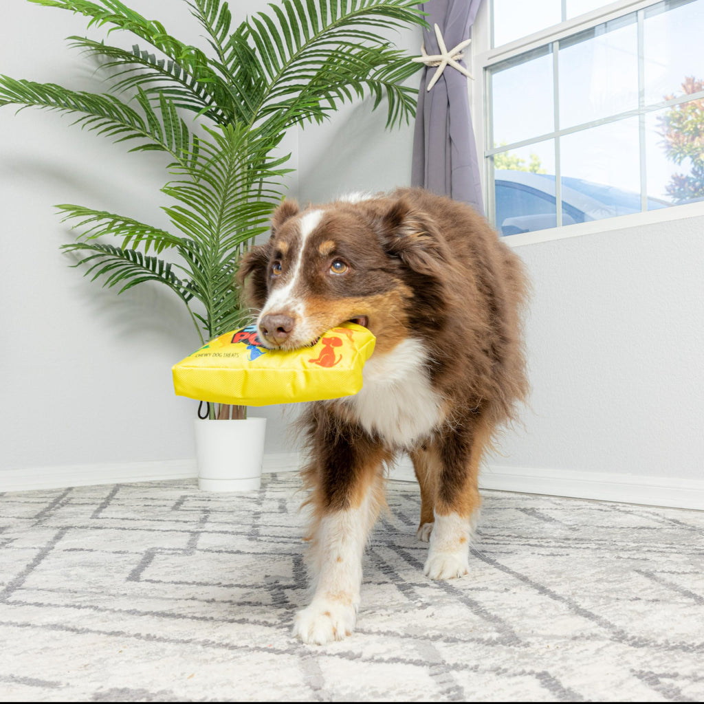 Dog Squeak Toy K4983