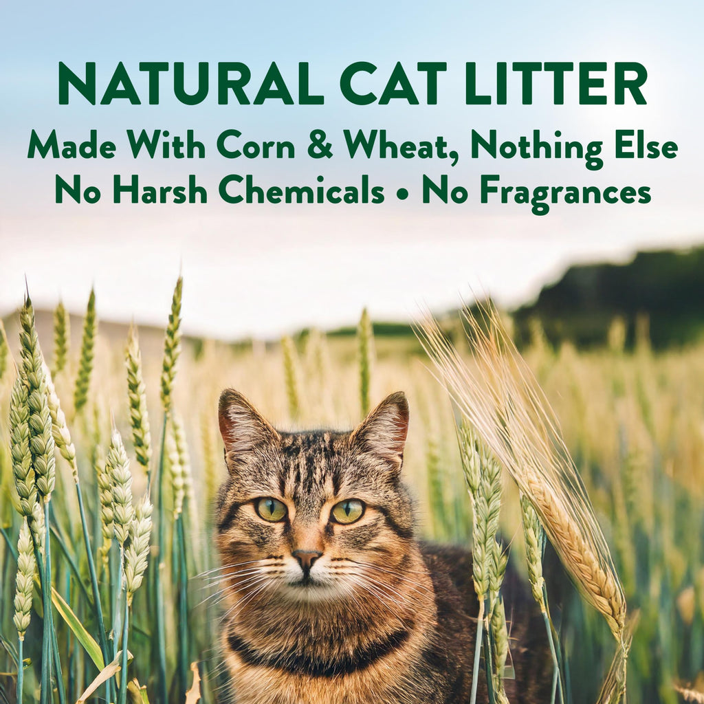 Plant-Based Clumping Cat Litter Unscented 15 Lbs Y599925